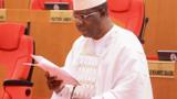 Senate to pass State Police bill this week – Sen. Bamidele