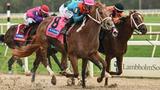 After 14 dormant years, ‘Zaria Horse Racing Derby’ returns with foreign entries