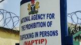 NAPTIP rescues 96 trafficked Benue children, reunites 84 with families
