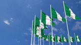 FG hails Nigeria’s CEDAW re-election