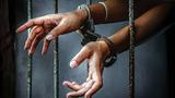Labourer bags 6 months imprisonment for stealing electric wires