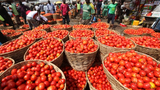 Nigeria may face rice, tomato scarcity in 3 months — OTACCWA