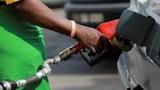 FG meets Dangote refinery, Marketers over fuel price reduction