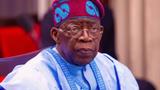 2027: I won’t surrender without a contest — Tinubu
