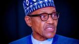 Buhari didn’t create PFIPC – Media Organisation