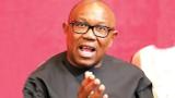 Your allegations of being targeted untrue —Presidency reply Obi