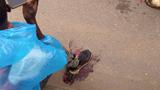 Dispatch rider suffers severe leg injury in crash near Abule Egba Bridge
