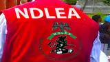 NDLEA decorates 114 newly promoted officers in Oyo