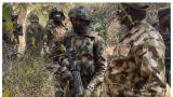 Troops rescue nine kidnap victims, recover 56 rustled livestock in Katsina