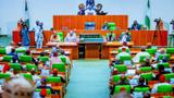 Produce PFIPC DG before noon on Wednesday — Reps order IGP