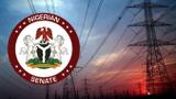 Senate to suspend Electricity act amendments
