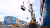 Freight Forwarders suspend planned strike after agreement with APM Terminals