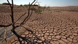 Rising temperatures could wipe $20bn from African economies — AfDB Warns