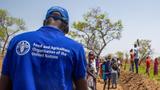FAO, Borno brainstorm to tackle issues on climate-smart agricultural investment