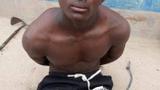 Troops arrest suspected ISWAP operative, recover photo of armed men in Borno
