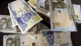 Don’t depend on current naira stability — Iroko Capital warns