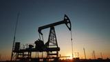 FG approves 6 oil marketers to import PMS