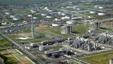 Bonny, Forcados terminal account for over 637,000bpd as Nigeria’s August output rises