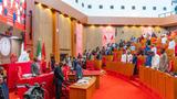 National Assembly sends 2026 constitution amendment bill to States