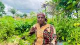 CSOs, women farmers laud Nasarawa govt on citizen budget initiative