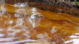 CSOs advocate urgent action on pollution, ecological crises in N’Delta