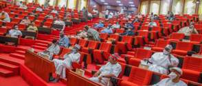 Senate urges FG to address imminent insecurity risk of food