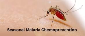 Kaduna Govt Inaugurates Committee for Seasonal Malaria Chemoprevention