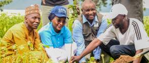 50,000 target: FirstBank, NCF extend tree planting to FCT