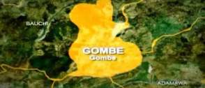 Gombe taps New Zealand expertise to revolutionize livestock value chain