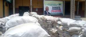 Economic hardship: Dangote Foundation donates 30,000 bags of rice to Oyo