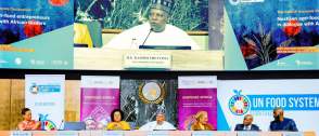 Nigeria maps 10-year youths-led agricultural renewal plan