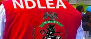 NDLEA launches ‘Operation Ramadan Mubarak ‘ arrests 13 suspects in Kano