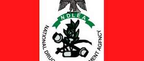 Hard drugs:NDLEA arrests a total number of 929 people within twelve month in kwara state