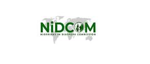NiDCOM, Presidential tax panel move to clarify new tax laws for Nigerians in diaspora