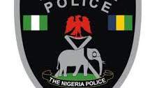 Police arrest dog owner and seize three dogs after they fatally attacked a security