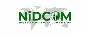 DHII 2026: Nigerian diaspora medics to lead nationwide health revolution