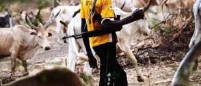 Oyo records 100 farmers–herders clashes monthly — NSCDC