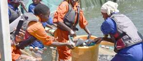 AfCFTA to tackle barriers facing women, youth in fish trade