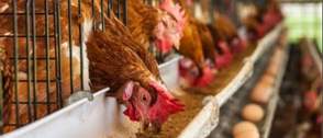 PAN urges farmers to prevent losses