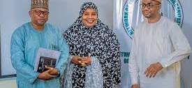 Yobe youths advocate peace, sustainable development