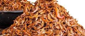 Crayfish traders blame scarcity, transport costs for high prices