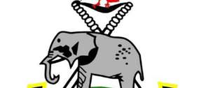 Police moves to prevent misuse of arms, begins audit