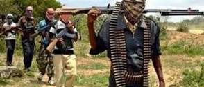 Police foil bandit attack on 3 Sokoto villages, recover rustled livestock