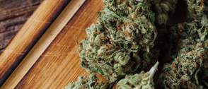 Cannabis, opioids, alcohol most common as drug cases skyrocket