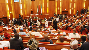 Senate extension of NASS staff retirement age to 65 years: Matters arising