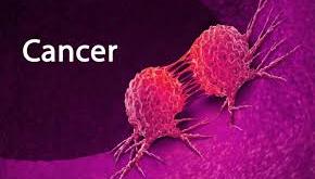 Early cancer diagnosis improves chances of effective treatment, outcome – FG