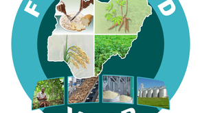 Community lauds IFAD-VCDP for transforming life of Enugu rural farmers