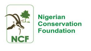 NCF appoints new director of communications, advocacy