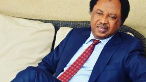 Leave social media and run for office – Shehu Sani tells critics