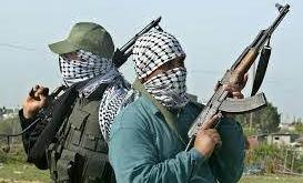 Bandits abduct pregnant wife, 30 others in fresh Kaduna attack